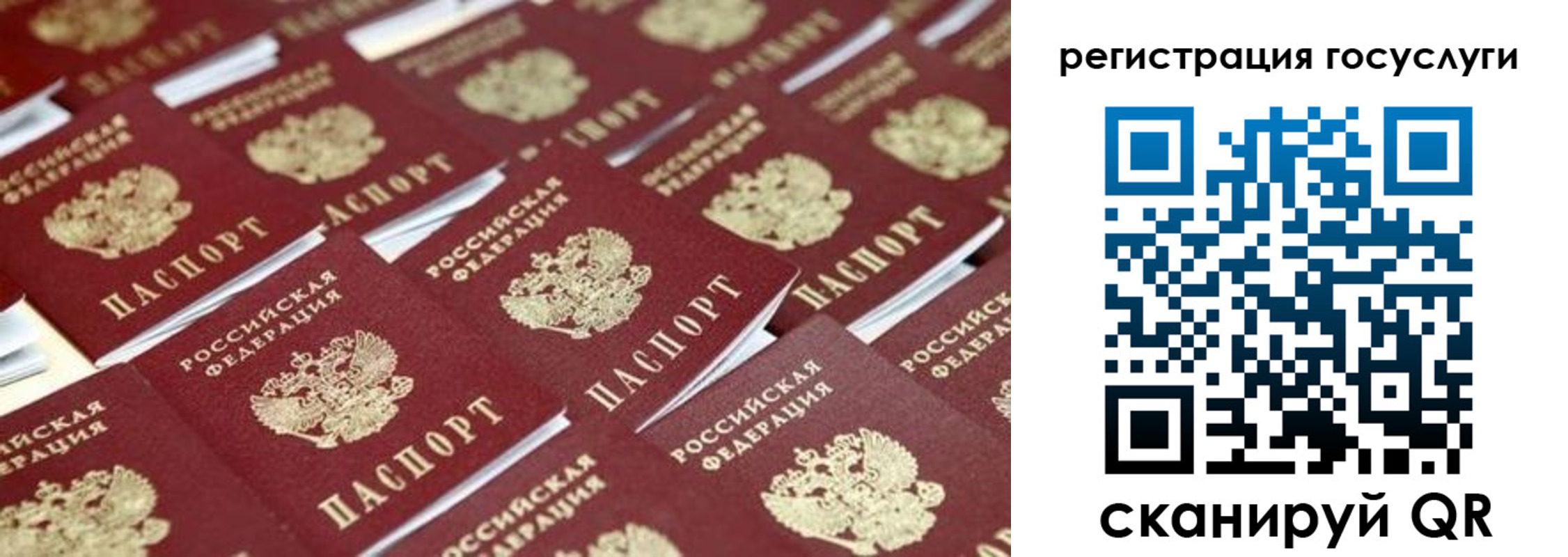 прописка ребенка в Ясном