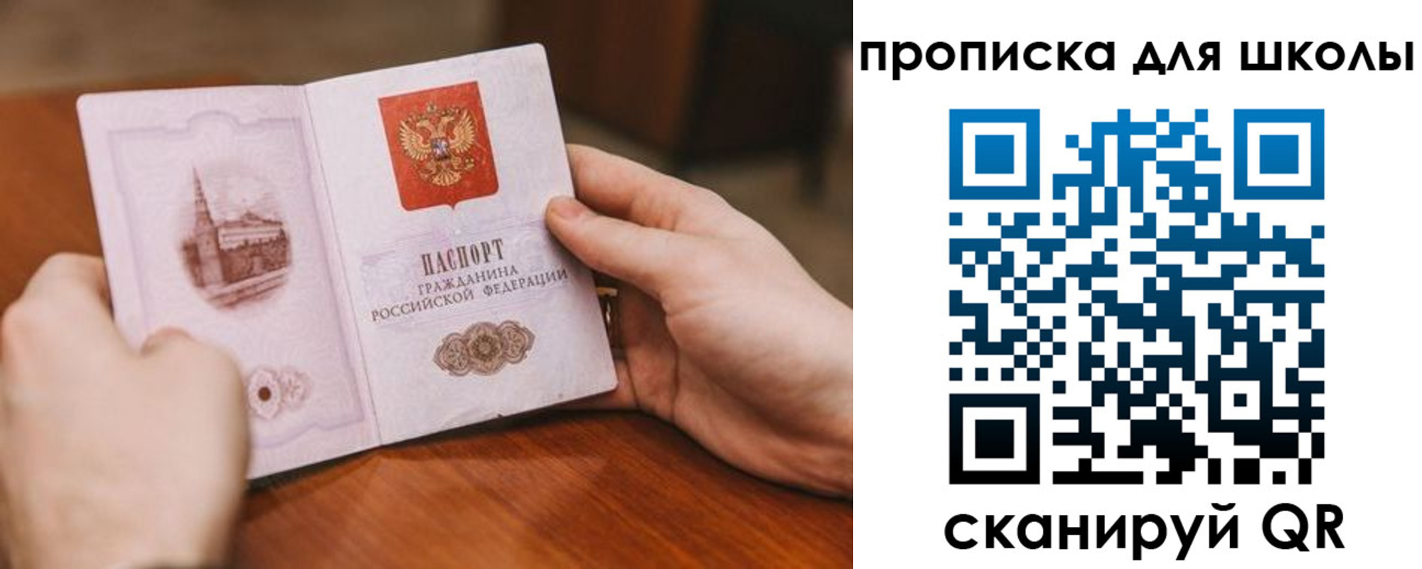 прописка в Ясном